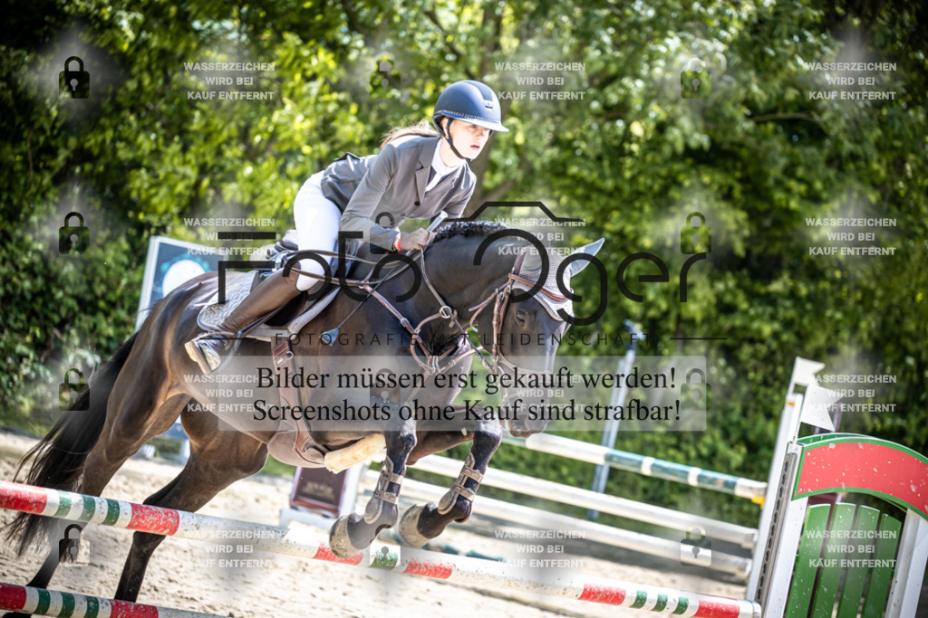 DOS_1344 | Reitturnier Lüdinghausen - Realisiert mit Pictrs.com
