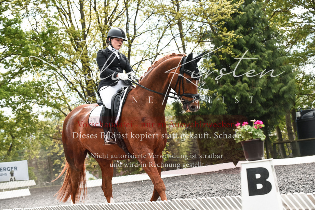 20230514_JK-Röhrsdorf-24-020 | Pferde- und Turnierfotografie in Westsachsen. Pferdeportraits, Auftragszeichnungen und intuitive Kunst.