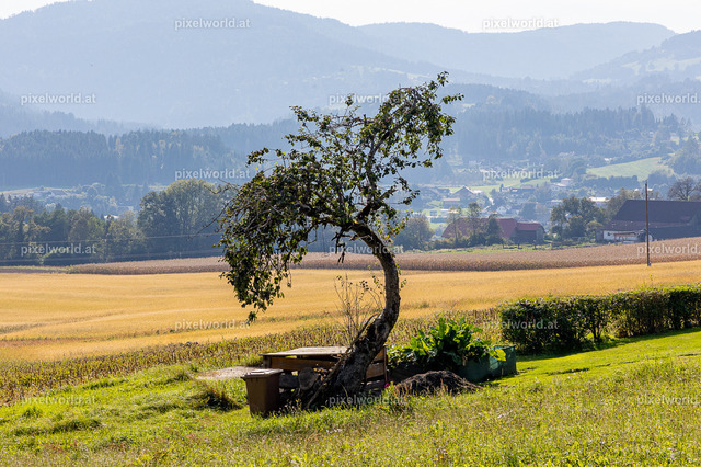 Kulinarischer Herbstreigen am Maltschacher See | Bildershop von pixelworld.at - Realisiert mit Pictrs.com