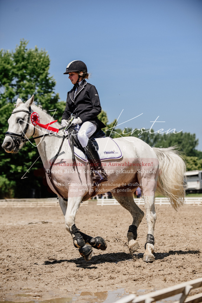 DSC_2077 | Pferde- und Turnierfotografie in Westsachsen. Pferdeportraits, Auftragszeichnungen und intuitive Kunst.