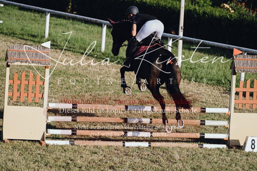 DSC_3256 | Pferde- und Turnierfotografie in Westsachsen. Pferdeportraits, Auftragszeichnungen und intuitive Kunst.