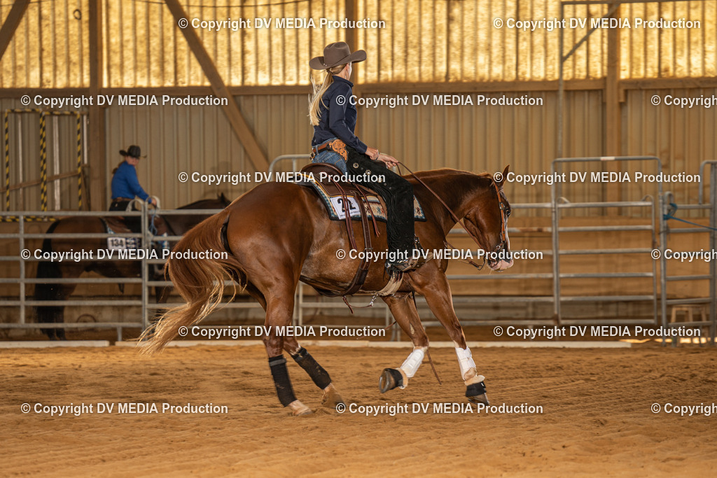 NID02160 | dv-media-shop - Realisiert mit Pictrs.com