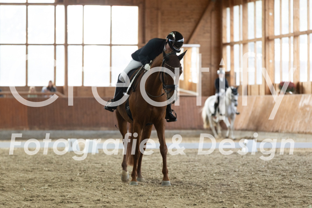 IMG_3025 | Creatify Fotografie