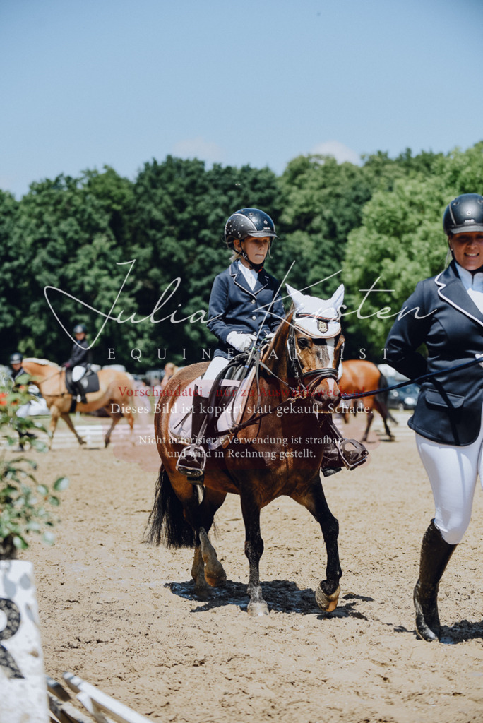 DSC_2233 | Pferde- und Turnierfotografie in Westsachsen. Pferdeportraits, Auftragszeichnungen und intuitive Kunst.