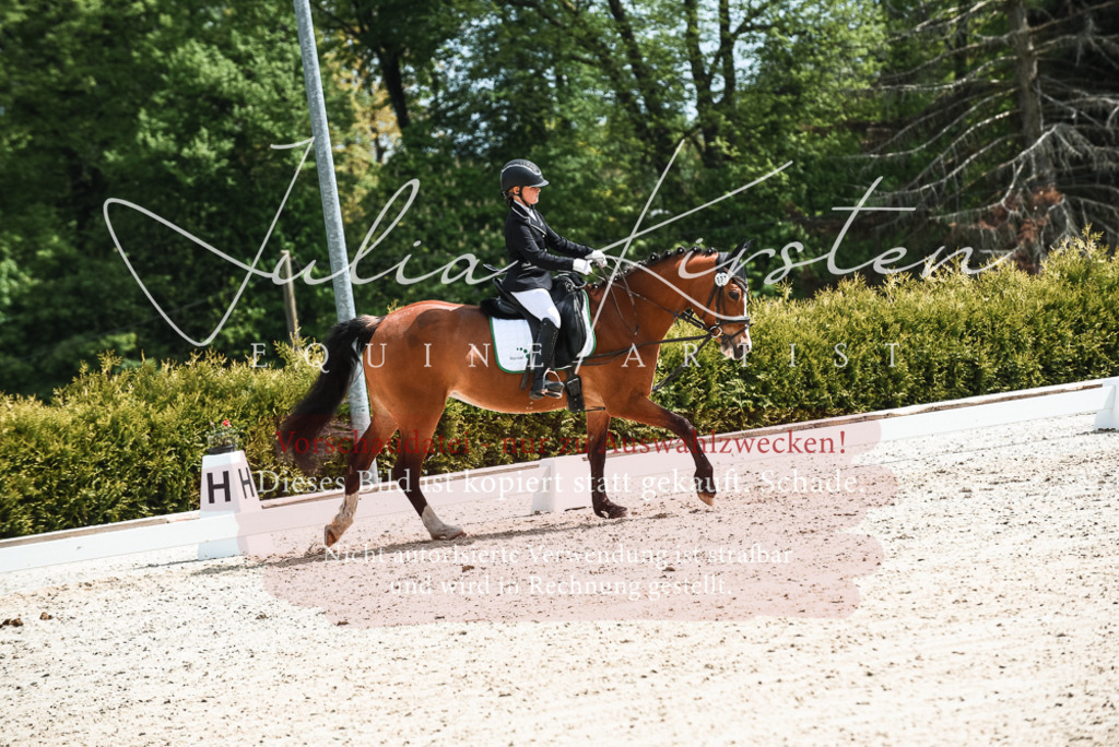 20230518_JK-Röhrsdorf-11-0769 | Pferde- und Turnierfotografie in Westsachsen. Pferdeportraits, Auftragszeichnungen und intuitive Kunst.