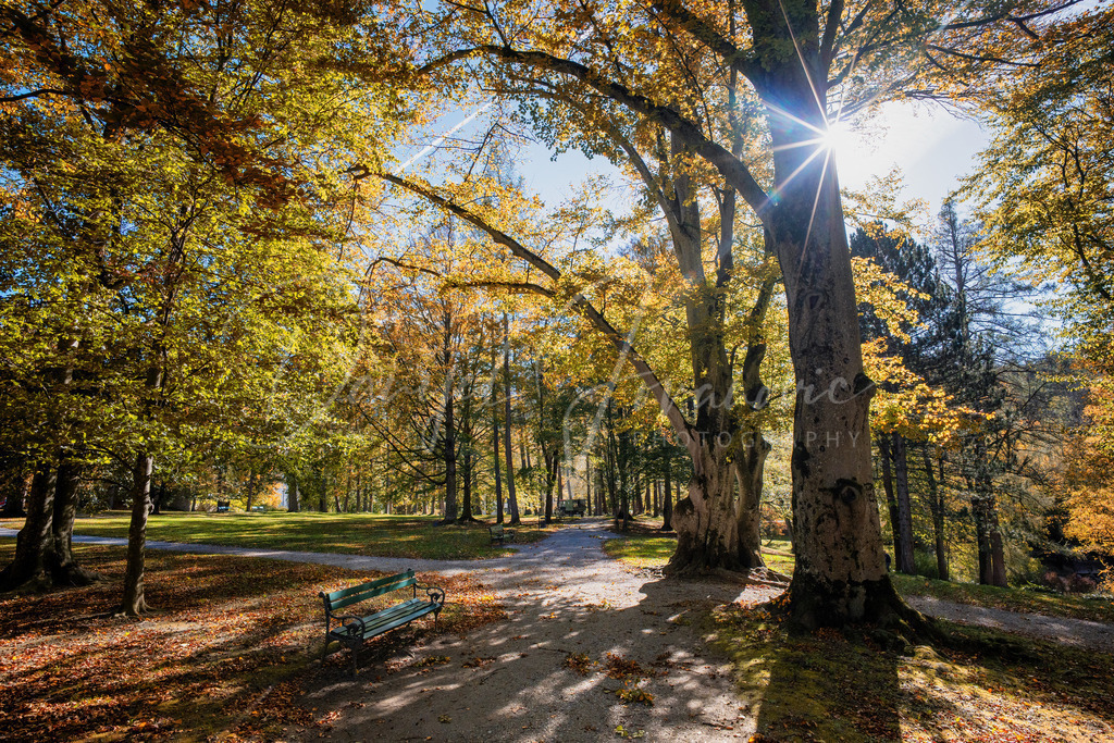DSC00696 | Professioneller Fotograf - Bildbestellung online - Wandbilder vom Profi für ihr Zuhause, Büro, Praxis, Firma - große Auswahl an Materialien und Formaten, über 1400 regionale Motive
