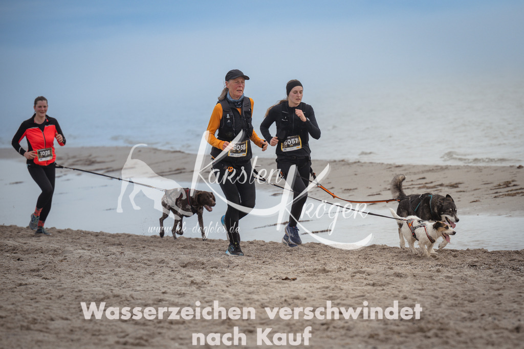 1148_ZZ91341 | kk-dogfotos