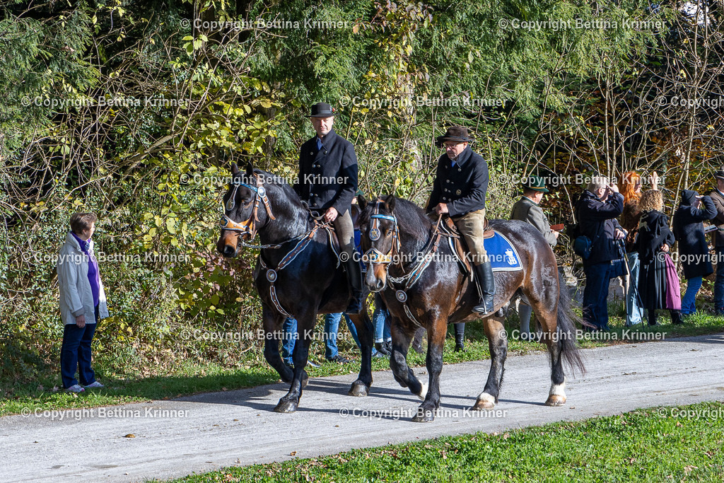 LBT24-862 | foto-bettina-krinner - Realisiert mit Pictrs.com