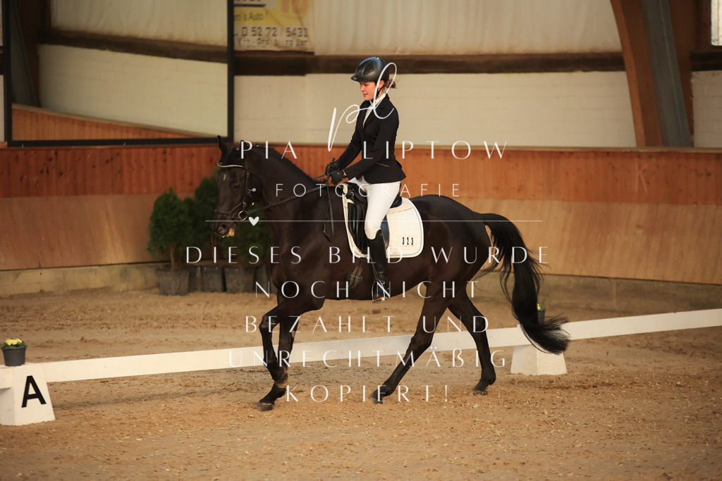 IMGT3420 | pl-fotografie