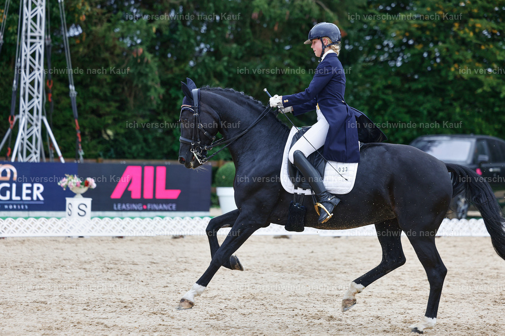 8_2-033-DRESSUR S_  -StoibPH-4404 | working equitationturnier fotograf videograf stoibphotography marixx film working equitation deutschland reitsport turnierfotografie eventfotografie equestrian events