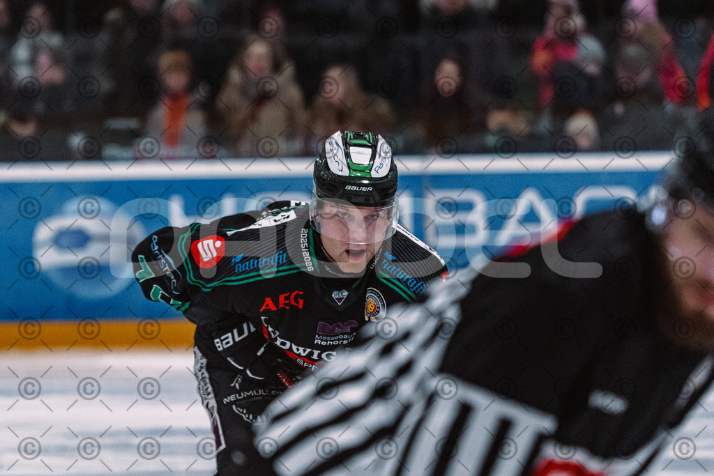 Alligators_vs_Toelz_15_02_2026-03 | Höchstadt Alligators Fotogalerie: Eishockey-Action aus Franken. Professionelle Spielfotos, Portraits & Stadionbilder zum Download. Jetzt entdecken! - Realisiert mit Pictrs.com