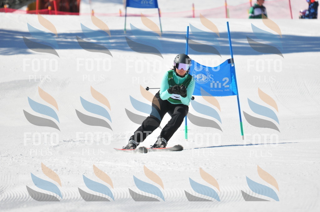 C4097 | holidayphoto