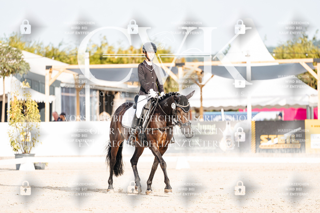 CK903763 | Turnierfotografie Pferdefotografie Trier Rheinland-Pfalz Pferdesport Reitsport Tierfotografie Sportfotografie Pferdevideo Pferdevideografie Equestrianvideography equestrianphotography  - Realisiert mit Pictrs.com