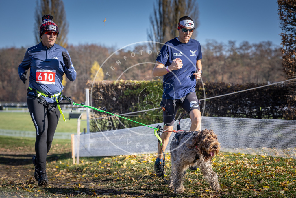 CaniXpix_DV3A9736 | Hundefotografie, Tierfotograf, Pfotenfotografie, Fotoshooting Hund, Hunde Portrait, Hundesport, Hundeportraits, Heideshooting, Hunde, Sportfotograf, Hundefotograf, Turnierhundsport, THS,  - Realisiert mit Pictrs.com