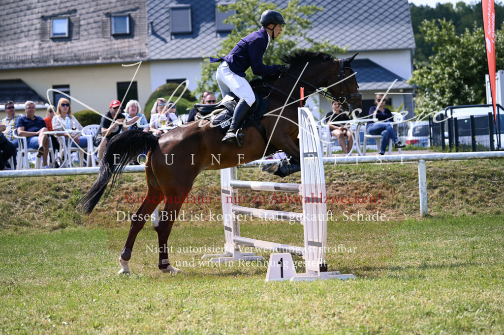 DSC_0411 | Pferde- und Turnierfotografie in Westsachsen. Pferdeportraits, Auftragszeichnungen und intuitive Kunst.