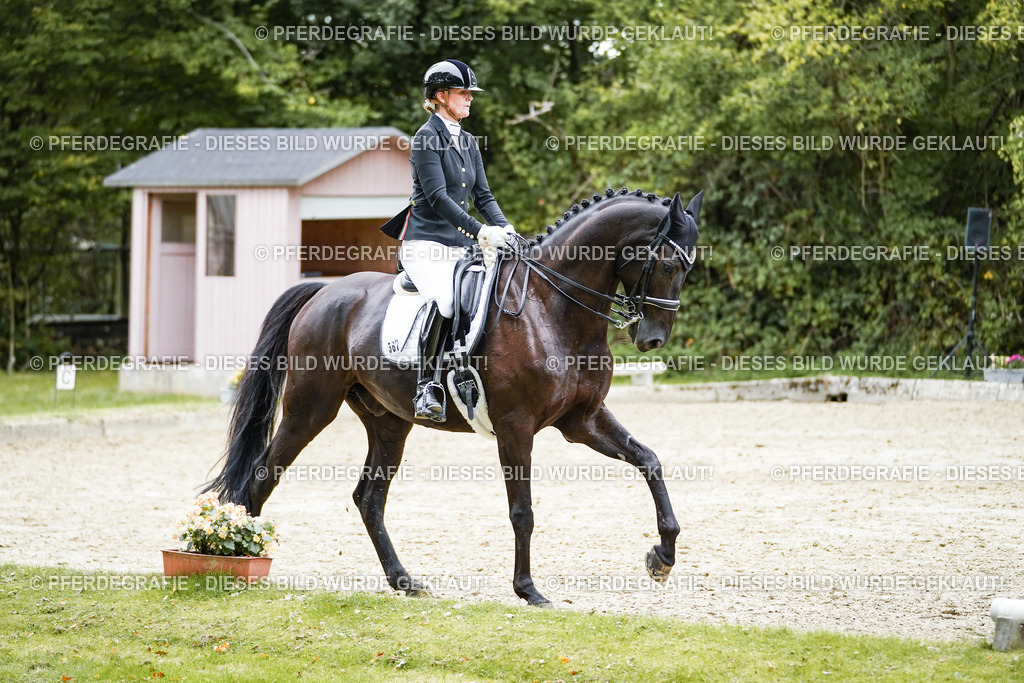 DSC01518 | Pferdegrafie