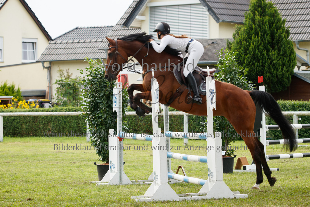 IMG_2634 | P. Berger Fotografie - Realisiert mit Pictrs.com