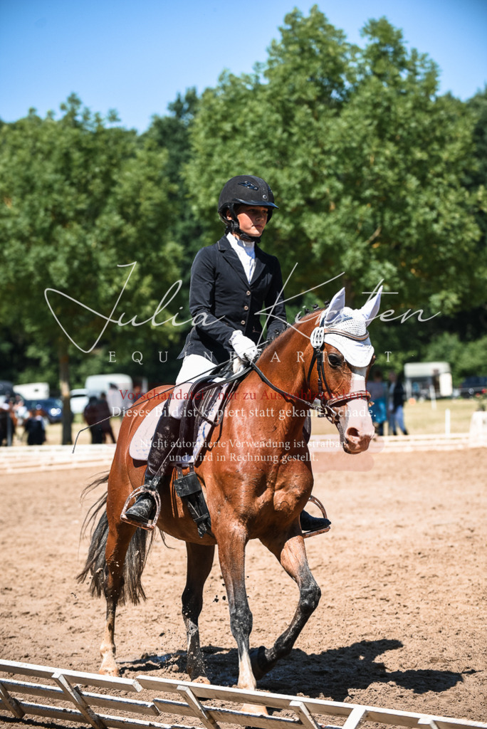 DSC_3186 | Pferde- und Turnierfotografie in Westsachsen. Pferdeportraits, Auftragszeichnungen und intuitive Kunst.