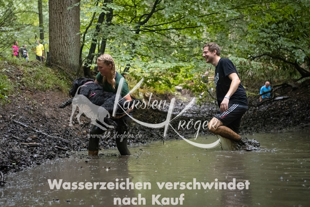 1258_ZZ91026-Bearbeitet | kk-dogfotos