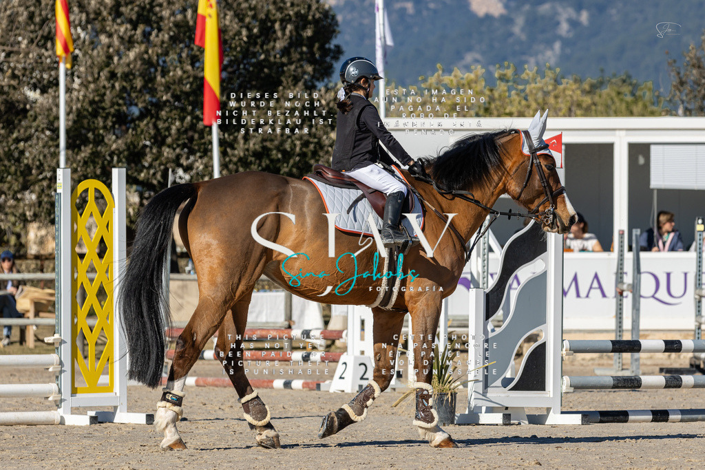 IMG_8092 | s-jay-photography - Realisiert mit Pictrs.com