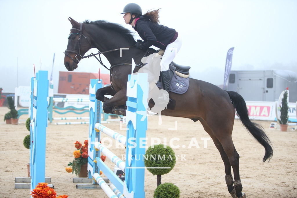 PP012706 | Willkommen bei Brunnmayr - Design & Fotografie – Ihrem Spezialisten für Reitturniere und Pferdeveranstaltungen in Oberösterreich, Salzburg und Bayern! Seit über 17 Jahren sind wir leidenschaftlich dabei.