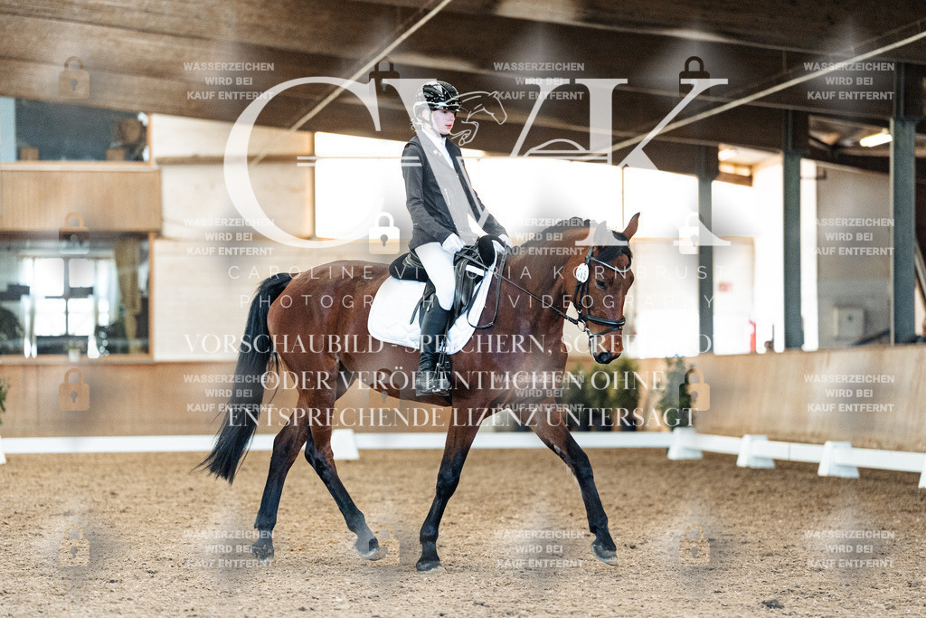 CK908664 | Turnierfotografie Pferdefotografie Trier Rheinland-Pfalz Pferdesport Reitsport Tierfotografie Sportfotografie Pferdevideo Pferdevideografie Equestrianvideography equestrianphotography  - Realisiert mit Pictrs.com
