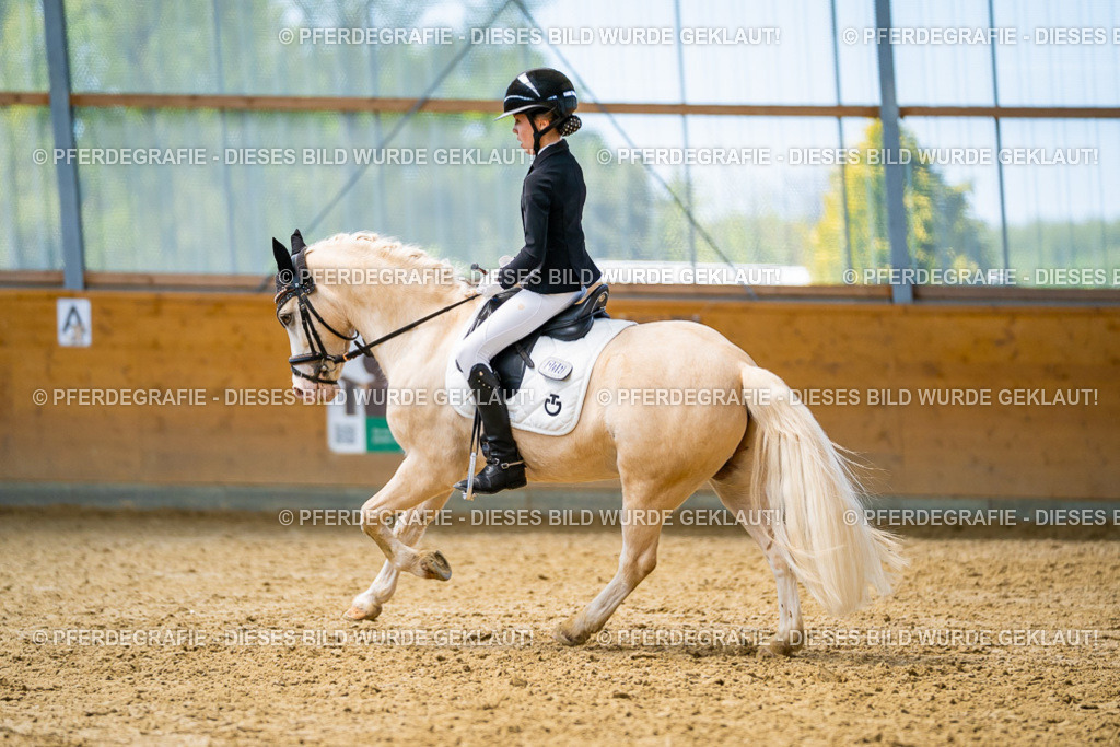 DSC09144 | Pferdegrafie