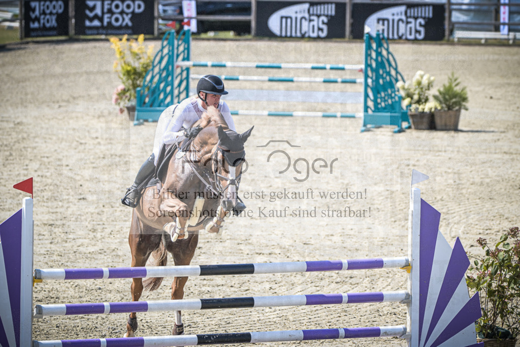 DOS_2019 | Entdecke hochwertige Reitturnierfotos von Foto Oger. Professionell, emotional und authentisch – jetzt Lieblingsmomente im Shop bestellen.Deutschlandweite Turnierfotografie. - Realisiert mit Pictrs.com