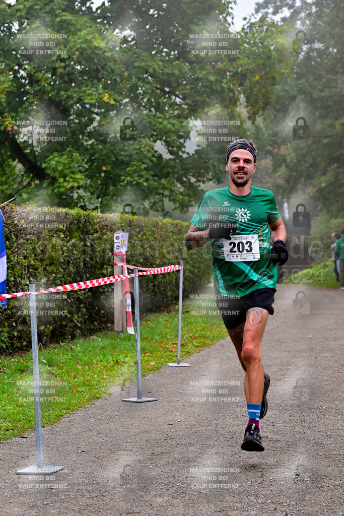 Z8N_1147 | la-psv - Realisiert mit Pictrs.com