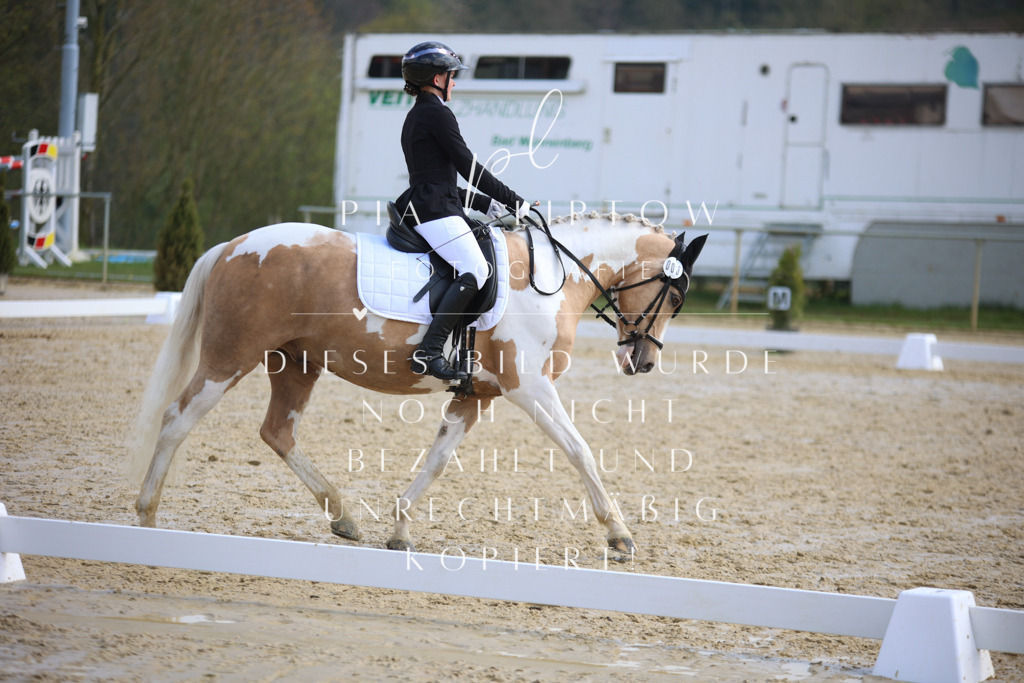 IMGT4299 | pl-fotografie