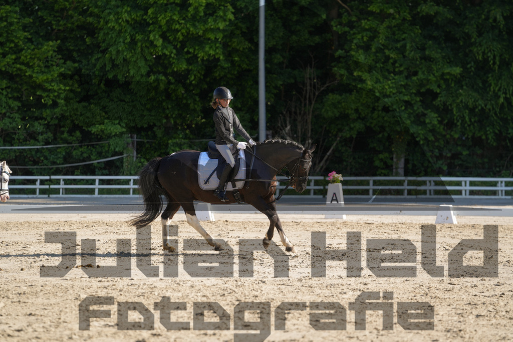 DSC02794 | Julian Held Fotografie - Realisiert mit Pictrs.com