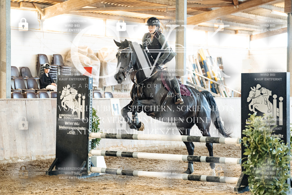 CK904681 | Turnierfotografie Pferdefotografie Trier Rheinland-Pfalz Pferdesport Reitsport Tierfotografie Sportfotografie Pferdevideo Pferdevideografie Equestrianvideography equestrianphotography  - Realisiert mit Pictrs.com