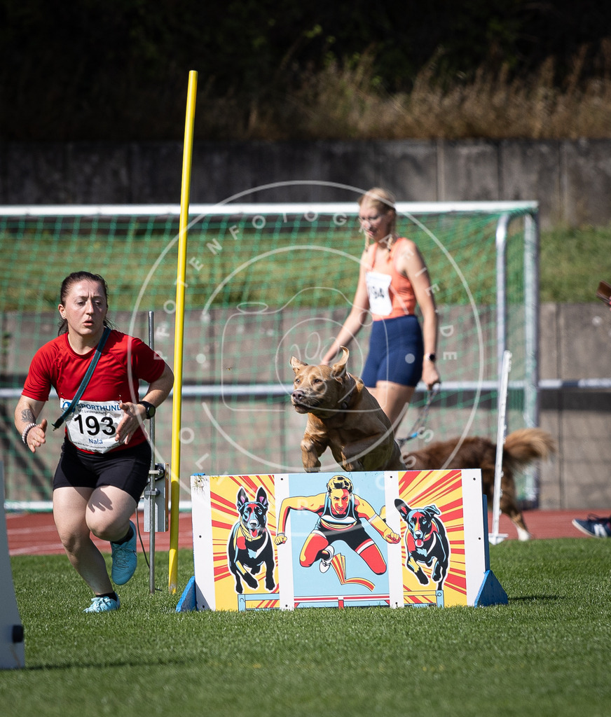Pfotenfotografie_DV3A0642 | Hundefotografie, Tierfotograf, Pfotenfotografie, Fotoshooting Hund, Hunde Portrait, Hundesport, Hundeportraits, Heideshooting, Hunde, Sportfotograf, Hundefotograf, Turnierhundsport, THS,  - Realisiert mit Pictrs.com