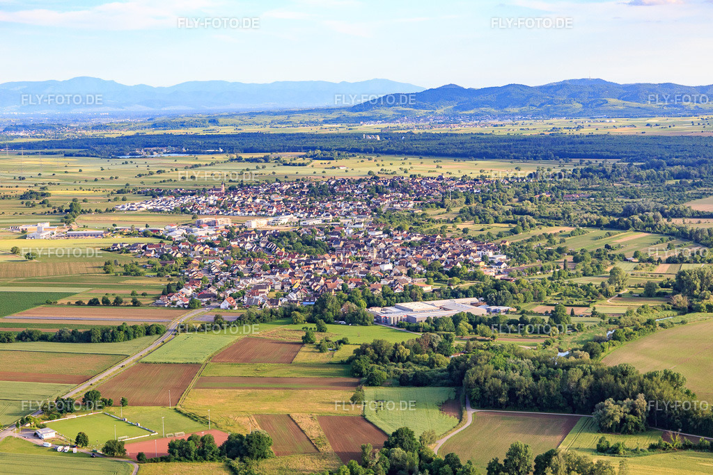 Ortsansicht aus Norden | Luftbild: Ortsansicht aus Norden im Ortsteil Niederhausen in Rheinhausen im Bundesland Baden-Württemberg in Deutschland. Foto: IMG_147290.jpg vom 29.05.2025 durch ©2025 Werner Riehm fly-foto.de/copyright - Realisiert mit Pictrs.com