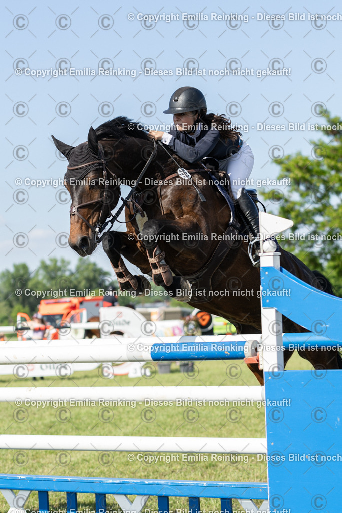 CL5A5345 | Emilia Reinking Fotografie - Realisiert mit Pictrs.com