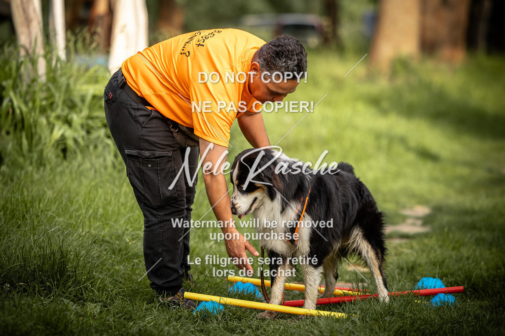 nelerasche_So-earlydog_75 | nelerasche