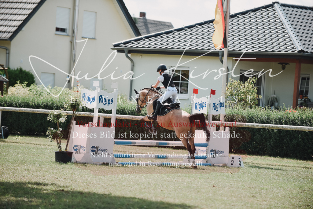 DSC_5865 | Pferde- und Turnierfotografie in Westsachsen. Pferdeportraits, Auftragszeichnungen und intuitive Kunst.