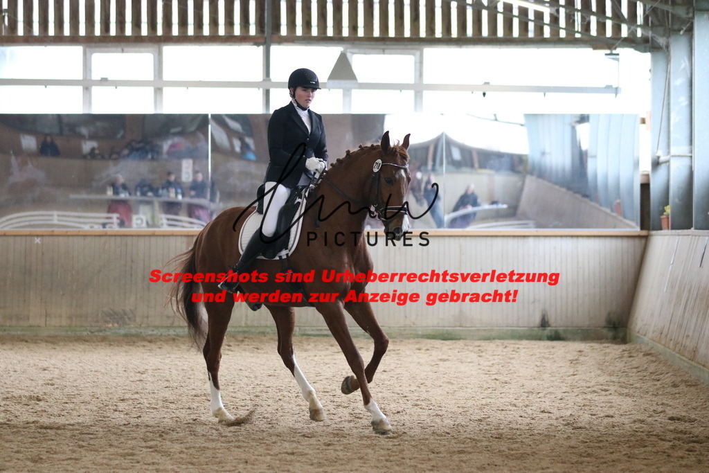 IMG_7772 | lmwpictures - Realisiert mit Pictrs.com