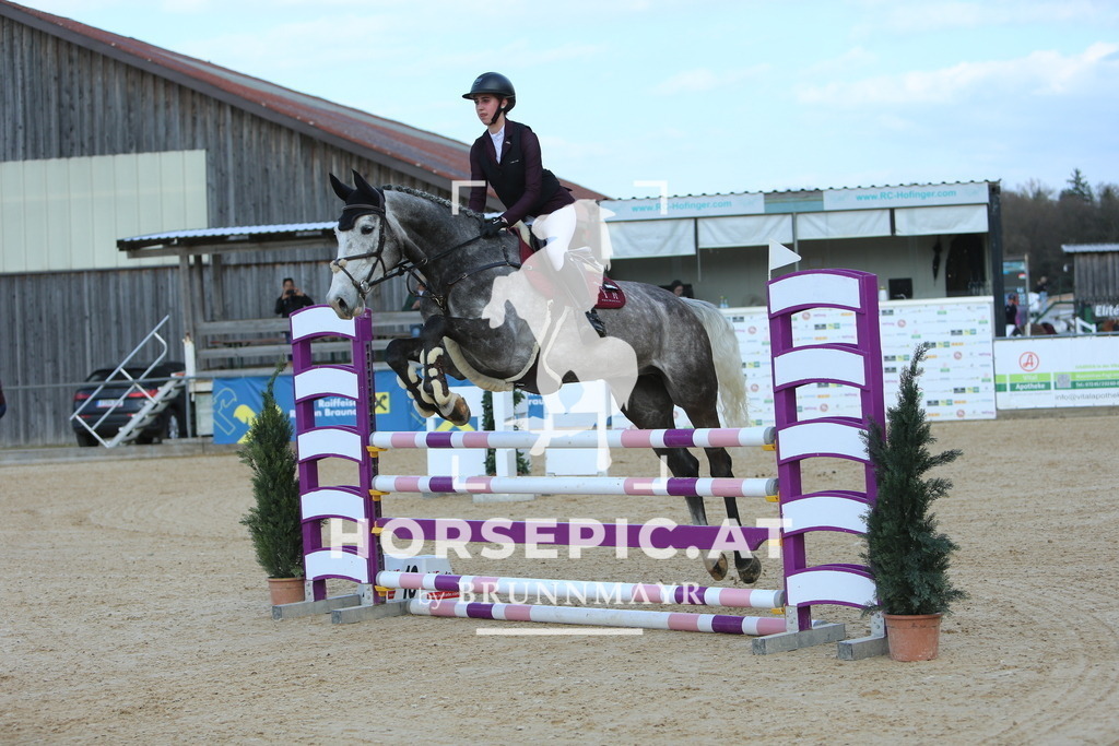 DL2Q0513 | Willkommen bei Brunnmayr - Design & Fotografie – Ihrem Spezialisten für Reitturniere und Pferdeveranstaltungen in Oberösterreich, Salzburg und Bayern! Seit über 17 Jahren sind wir leidenschaftlich dabei.