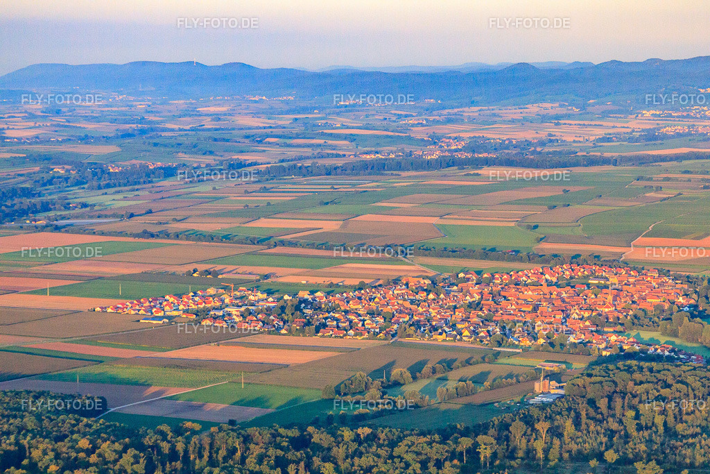 Dorfansicht aus Nordosten | Luftbild: Dorfansicht aus Nordosten in Steinweiler im Bundesland Rheinland-Pfalz in Deutschland. Foto: IMG_44288.jpg vom 20.08.2011 durch Werner Riehm/FLY-FOTO.de - Realisiert mit Pictrs.com