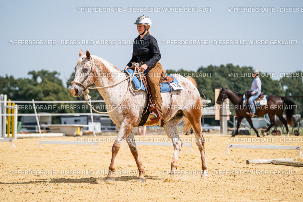 DSC00560 | Pferdegrafie