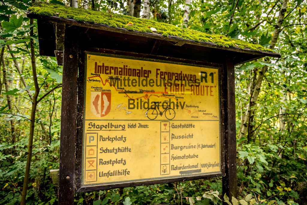 innerdeutsche Grenze Grünes Band Brocken Ilsenburg Eckerntal-0148 | Die innerdeutsche deutsch-deutsche Grenze, das Grüne Band - Realisiert mit Pictrs.com