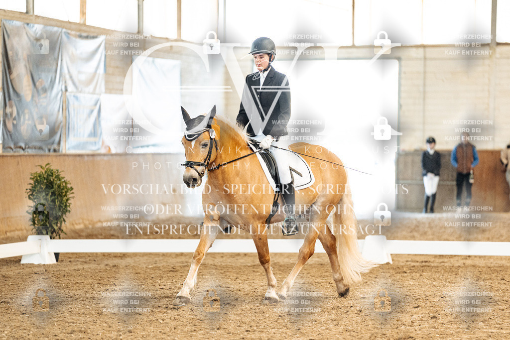 CK900094 | Turnierfotografie Pferdefotografie Trier Rheinland-Pfalz Pferdesport Reitsport Tierfotografie Sportfotografie Pferdevideo Pferdevideografie Equestrianvideography equestrianphotography  - Realisiert mit Pictrs.com