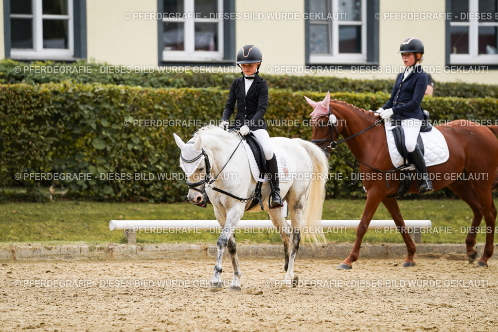 DSC09688 | Pferdegrafie