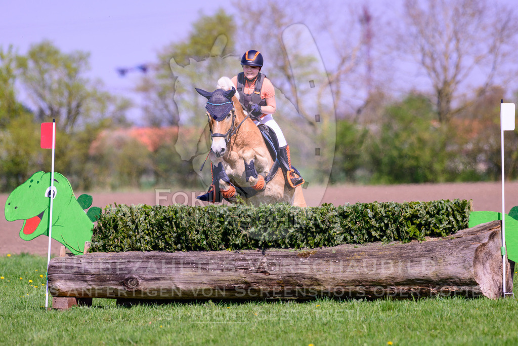 18042026-Gernlinden-01-2-0588 | Fokus Hufschlag Fotografie - Realisiert mit Pictrs.com