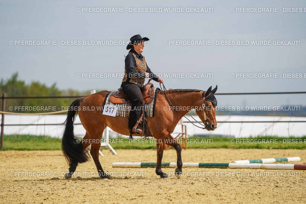 DSC04012 | Pferdegrafie