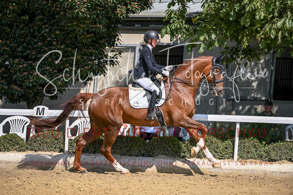 Schugtsche-Aluta25-52.Dressurprf.M2Kand-545 | Schugtsche Fotografie - Realisiert mit Pictrs.com