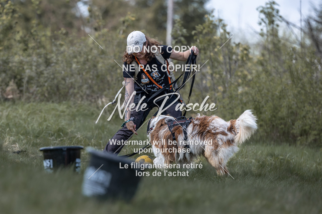 6Z1A1018 | nelerasche