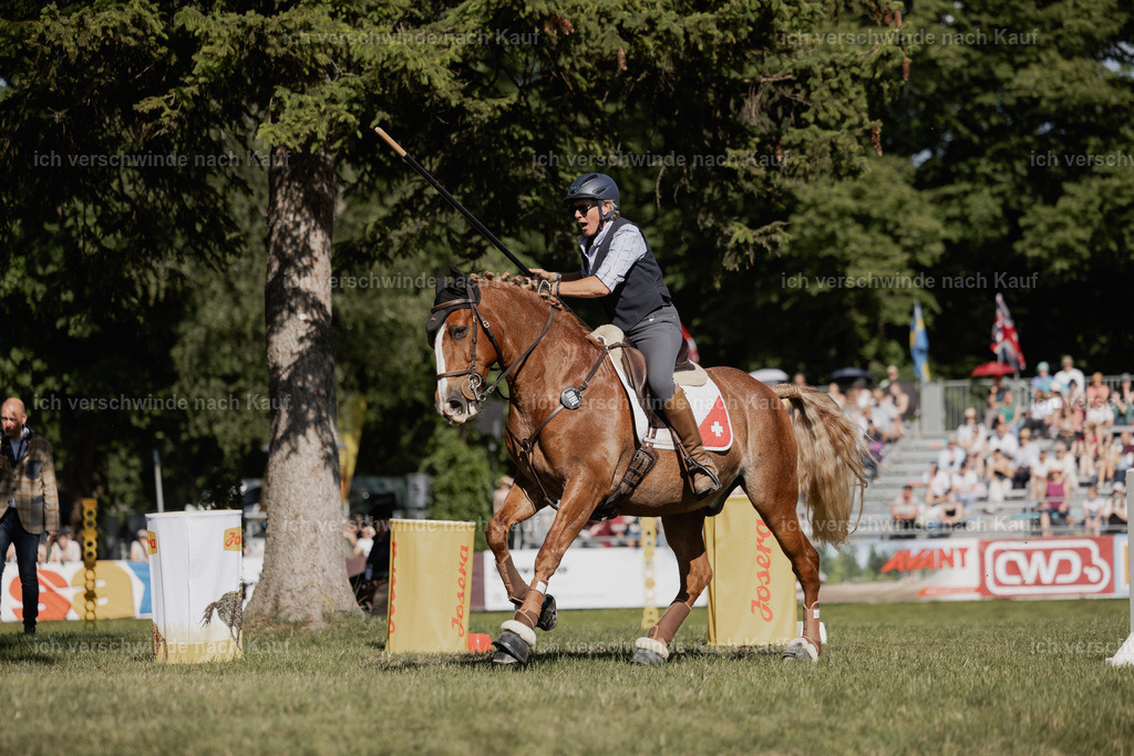 WE_MOS_Stoib_323_PI2025_2280 | Pferd International München 2025