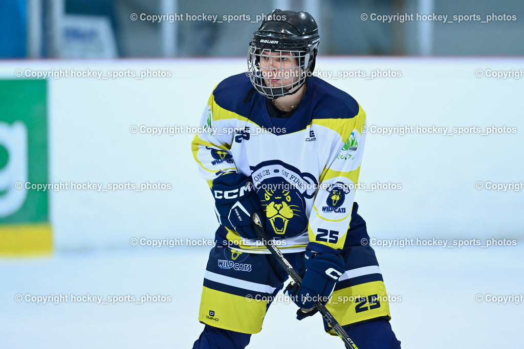 BST_6606 | hockey sports photos, Pressefotos, Sportfotos, hockey247, win 2day icehockeyleague, Handball Austria, Floorball Austria, ÖVV, Kärntner Eishockeyverband, KEHV, KFV, Kärntner Fussballverband, Österreichischer Volleyballverband, Alps Hockey League, ÖFB, 